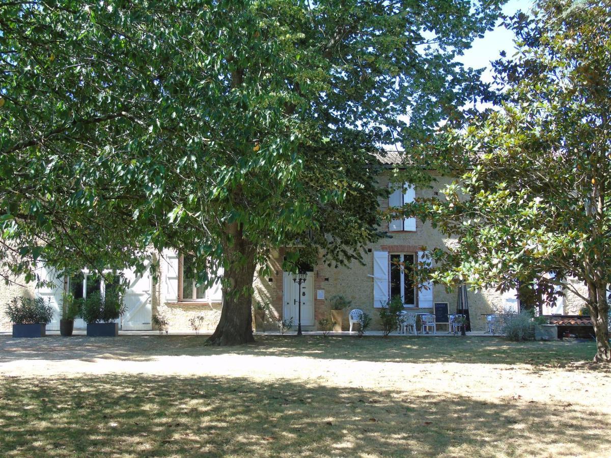 Couette-café La Bastide De Negra Montesquieu-Lauragais