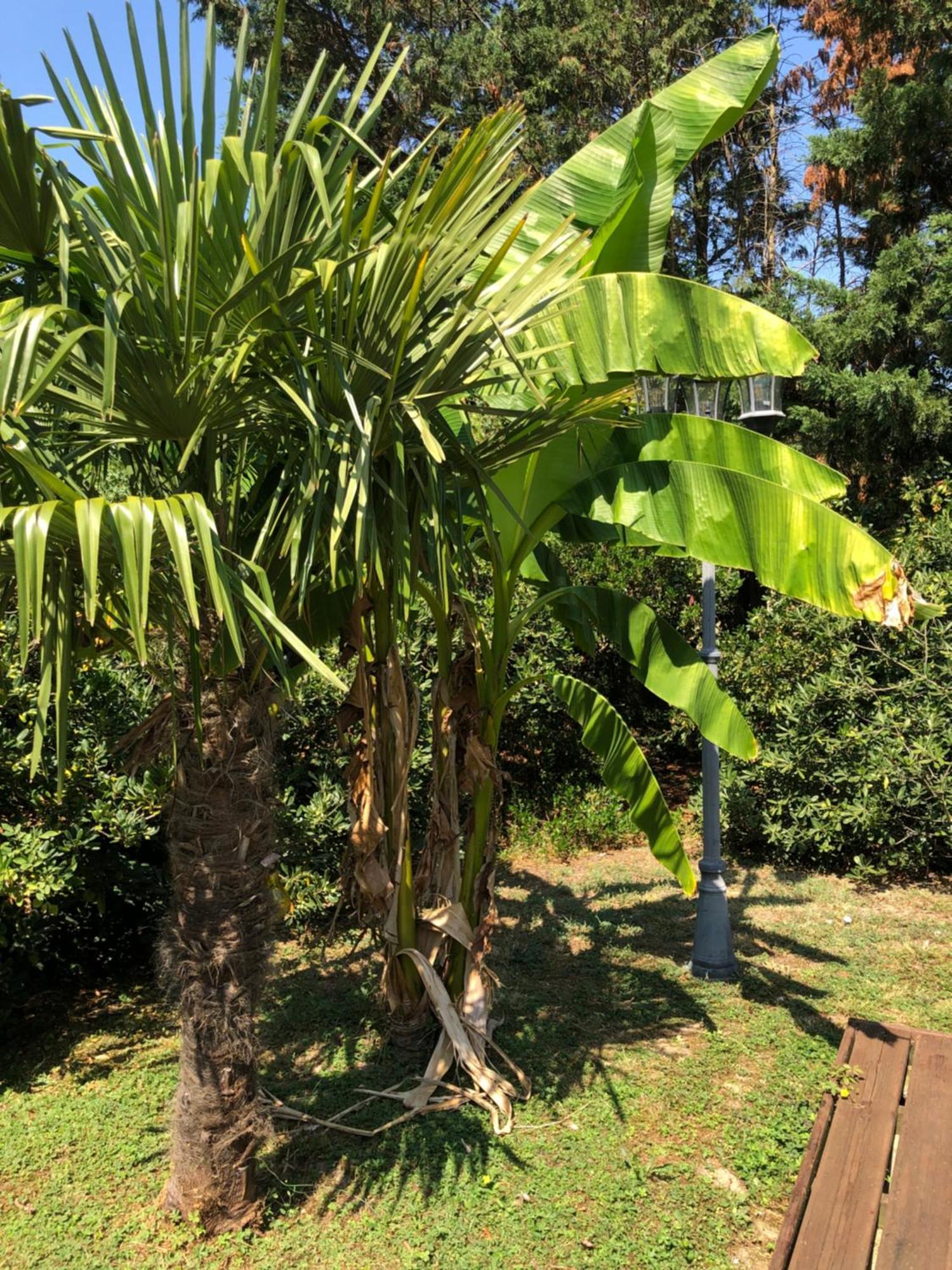 La Bastide De Negra 3*